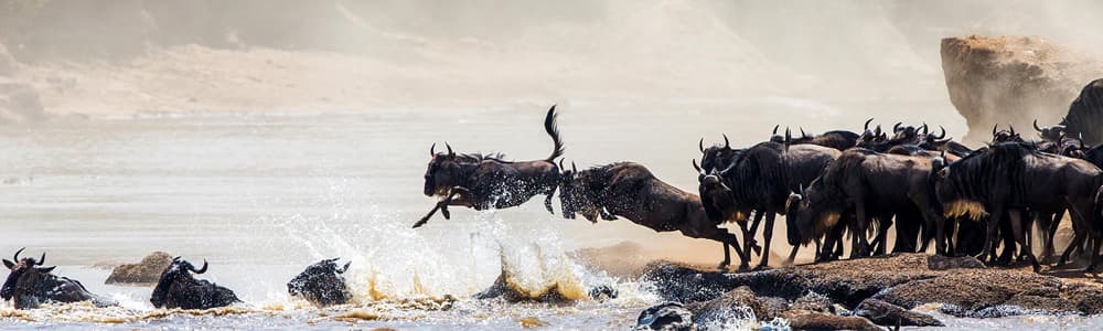 6-Day Serengeti & Great Migration Safari
